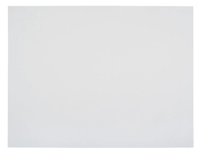 School Smart Poster Boards, 22 X 28 Inches, 8-Ply Thickness, White, Pack Of 25