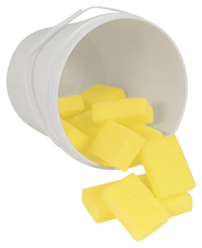 Bucket And Sponge Assortment, 2 X 3 X 1 Inches